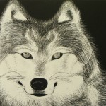 Wolf Scratchboard Wolf Scratchboard